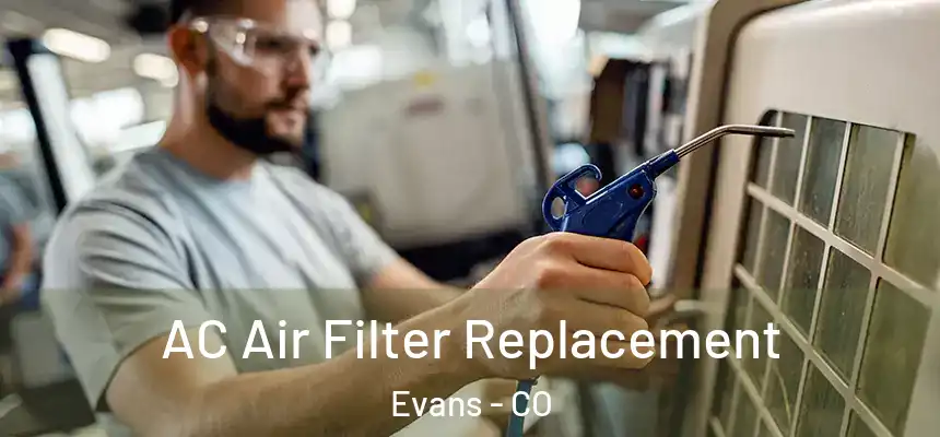  AC Air Filter Replacement Evans - CO