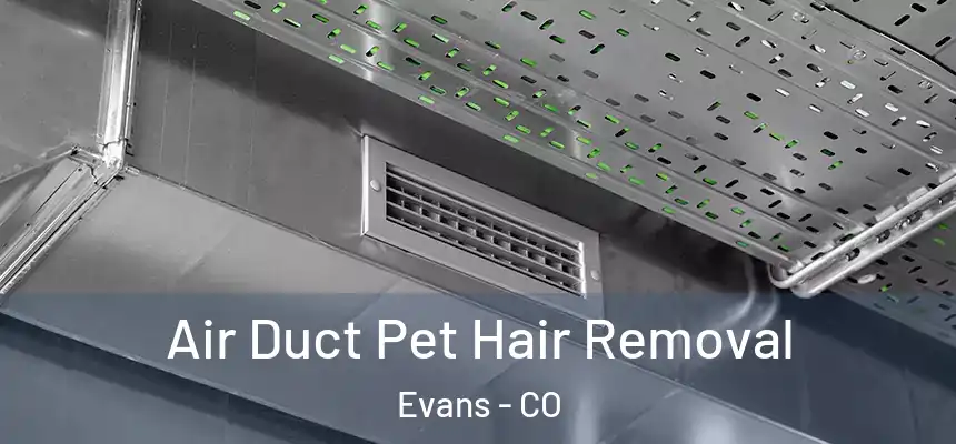  Air Duct Pet Hair Removal Evans - CO