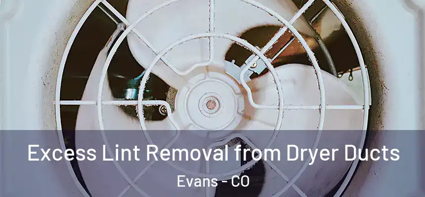  Excess Lint Removal from Dryer Ducts Evans - CO