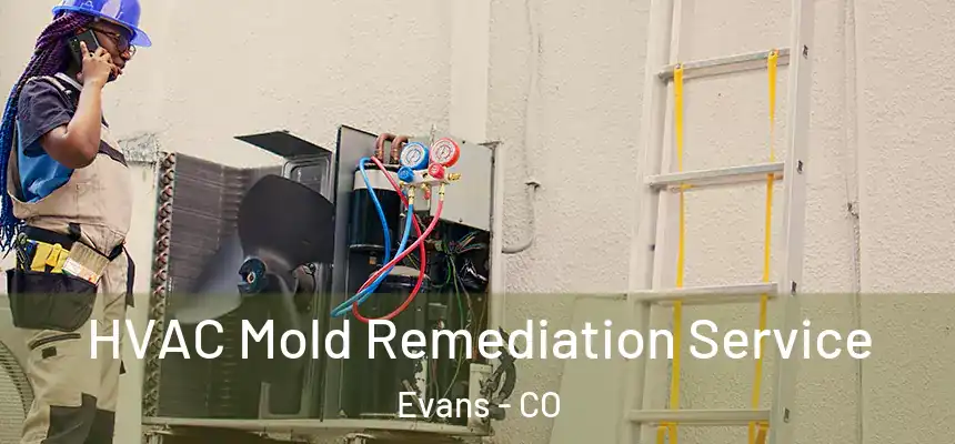  HVAC Mold Remediation Service Evans - CO