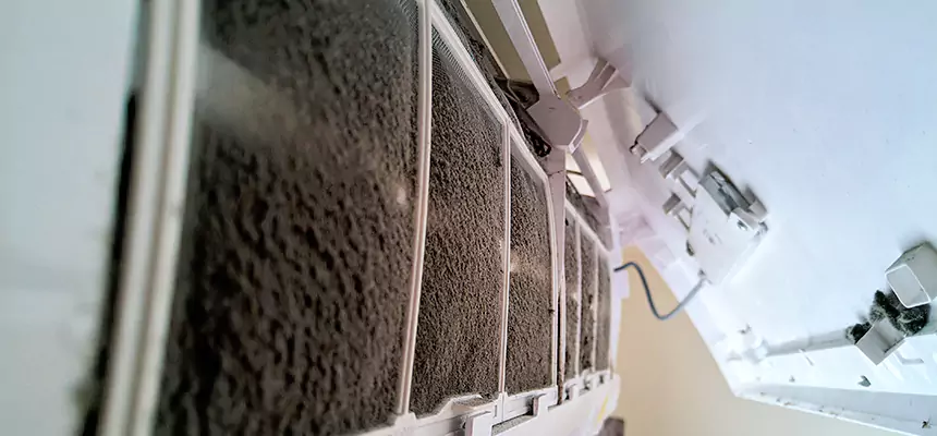 Preventive Air Duct Bacteria Removal in Evans