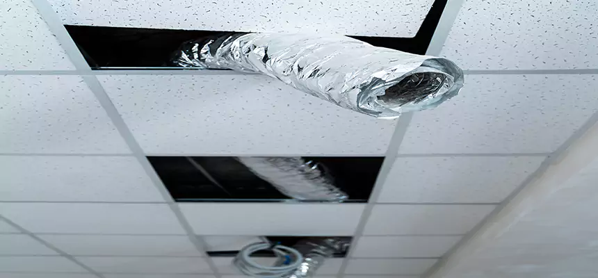 Our Air Duct Pet Hair Removal Services in Evans, CO