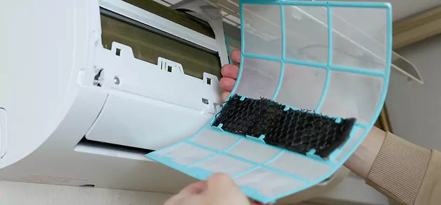 Gentle Ductwork Odor-Control Pet Dander Duct Cleaning in Evans, CO