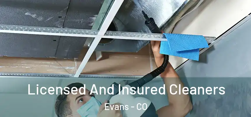  Licensed And Insured Cleaners Evans - CO