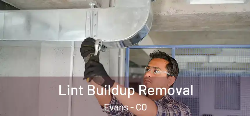  Lint Buildup Removal Evans - CO