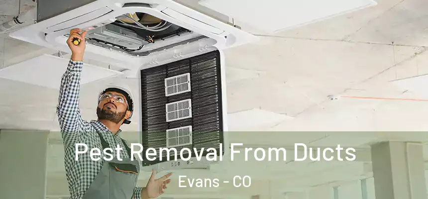  Pest Removal From Ducts Evans - CO