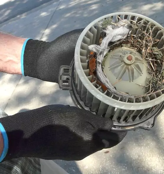 About Air Duct Rat Removal in Evans, CO