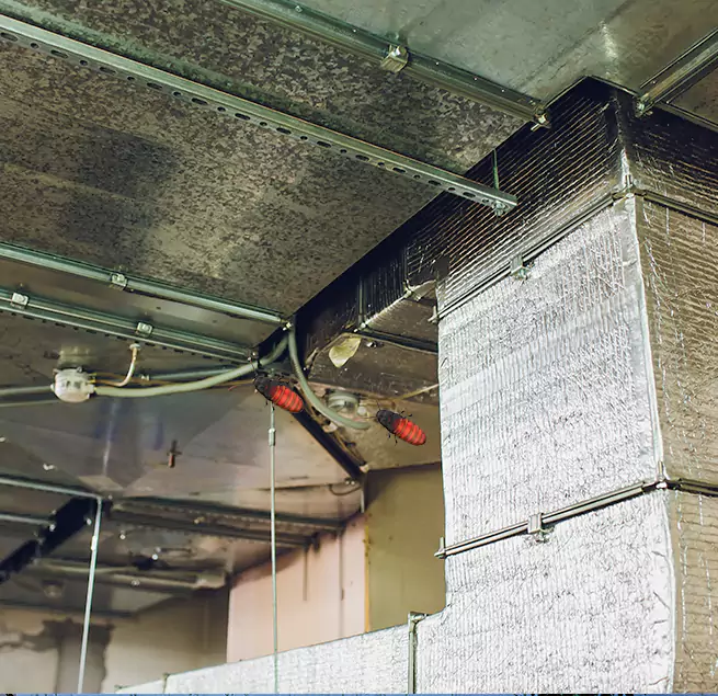 Why Homeowners & Businesses Trust Us in Evans, CO?