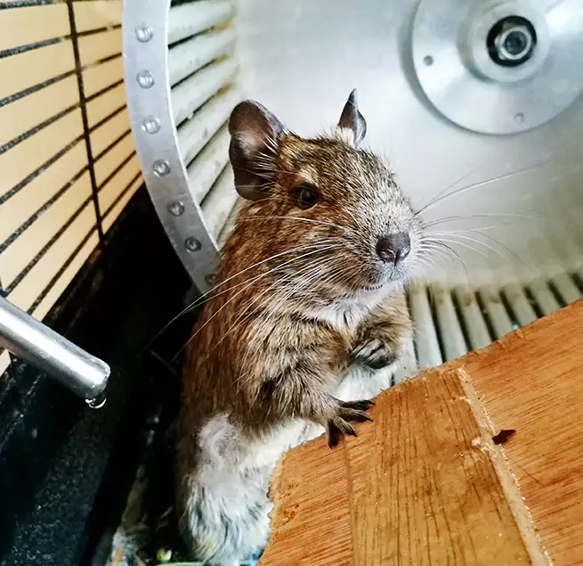 Why Homeowners & Businesses Trust Us Evans, CO