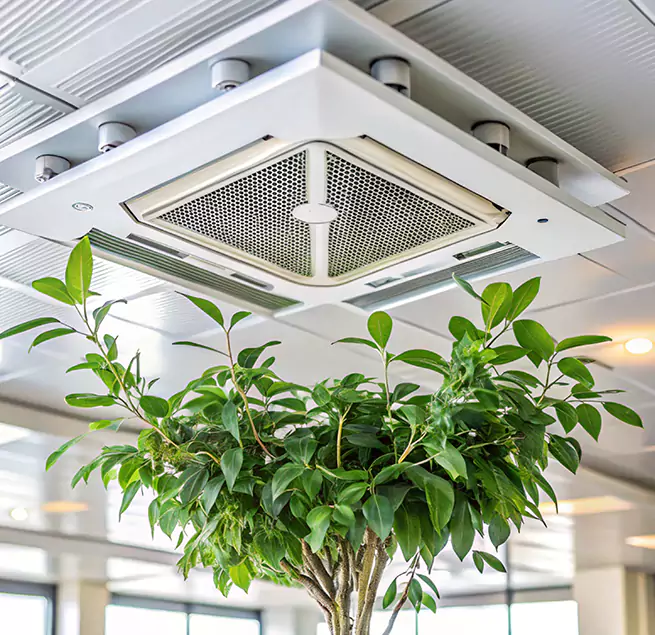 Why Homeowners & Businesses Trust Us in Evans, CO?